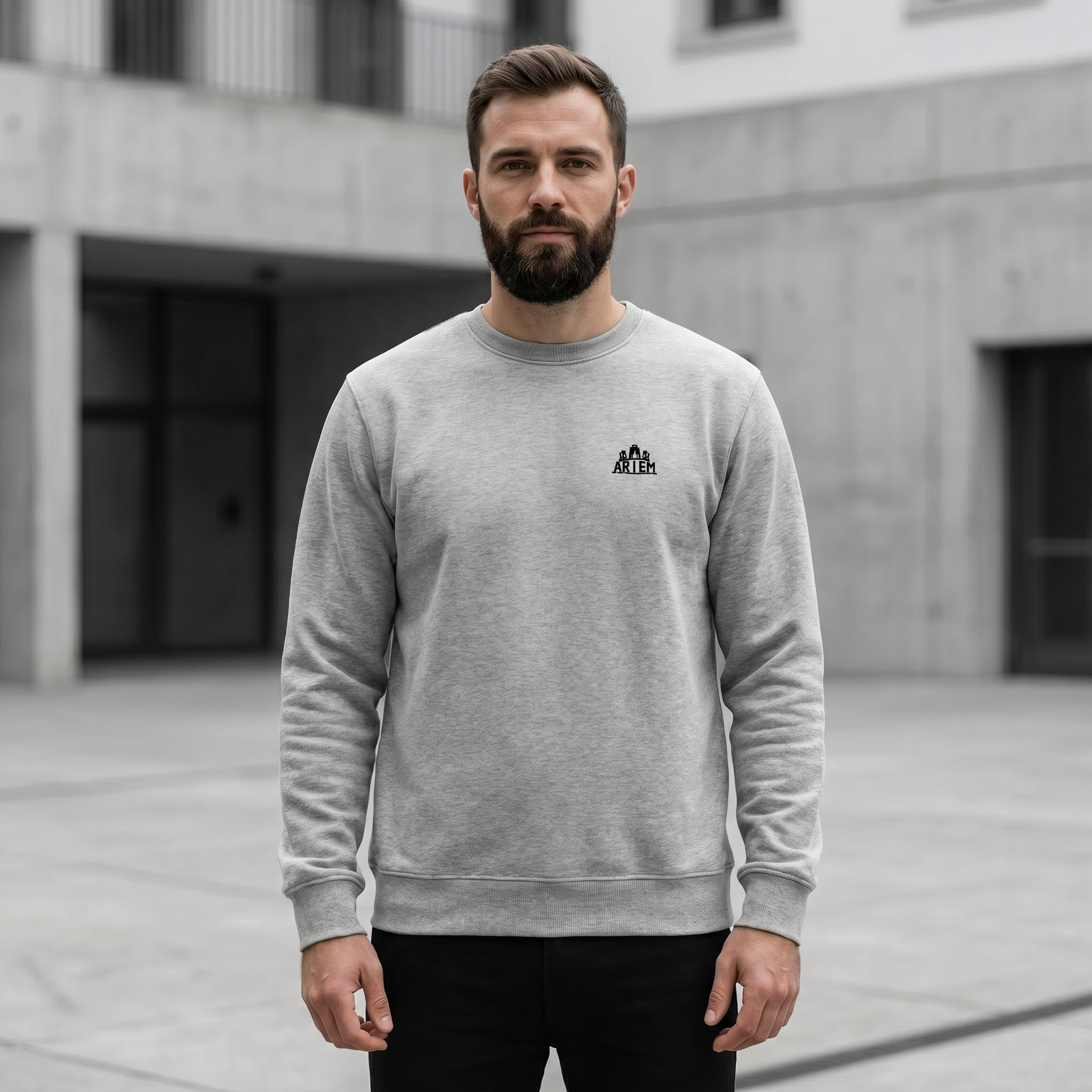 Unisex Rundhalspullover // Artem Premium Clothing // Grey Logo